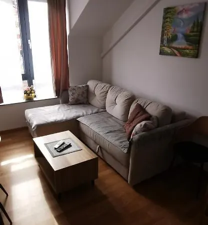 Andjelkovic Soko Banja