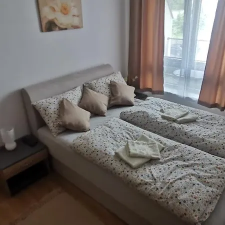 Andjelkovic Apartament *