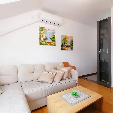 Andjelkovic Apartament *